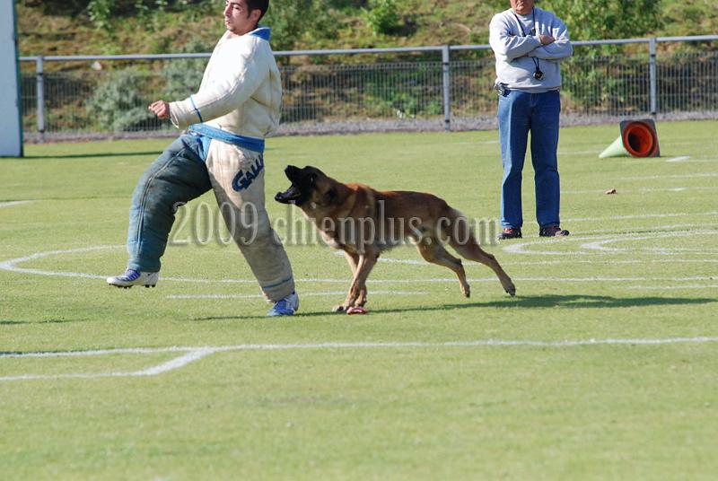 3 EME SELECTIF 2009 GRANDE SYNTHE 345.jpg